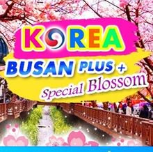 ทัวร์ปูซาน BUSAN PLUS + SPECIAL BLOSSOM 2018 4วัน 2คืน เริ่มเพียง 12,900 บ. รูปที่ 1