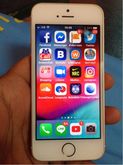 iphone se 64 gb สีทอง อุปกร์แท้ครบ รูปที่ 4