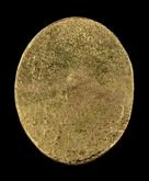  เหรียญหัวแหวน เม็ดแตง หลวงปู่ทวด วัดช้างไห้ ปี2506 เนื้อกะไหล่ทอง บล็อค2ขอบแก้มขีด รูปที่ 1
