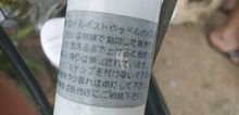 ขายจักยานญีาปุ่นแท้มีเกียร์ รูปที่ 1