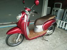 scoopy iปี57 รูปที่ 3