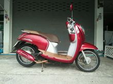 scoopy iปี57 รูปที่ 1