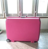 Samsonite Oyster by ACE japan