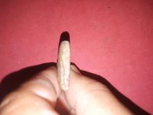 พระสมเด็จวัดระฆัง พิมพ์ใหญ่ สีมะกอกสุก กทม. ปี 24xx เนื้อผงพุทธคุณ มวลสารครบ จัด ละเอียด หลังเรียบ รูปทรงสวย งดงาม ขอบไม่คม แห้ง เหี่ยว ยุบย รูปที่ 5