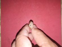 พระลีลาเม็ดขนุน พิมพ์เล็ก จังหวัดกำแพงเพชร หลังอย่างสวย เนื้อดิน สีมอย ผิวมันเงา เดิมๆ เป็นธรรมชาติ ความเก่าเดิมสวยๆ พระองค์นี้ พิมพ์ทรงคมชั รูปที่ 5