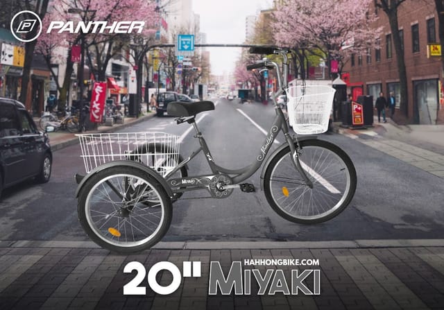 จักรยานสามล้อ Panther รุ่น Miyaki 20"
