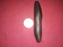 คตปลิง ผิวสีดำอมน้ำตาล ใต้ท้องมีลายเหมือนท้องปลิง ขนาดกลาง รูปทรงเหมือนปลิง มีน้ำหนัก ผิวเป็นมัน ผิวสีหรือเนื้อนี้ออก 2 สี กลายเป็นหินชัดเจน รูปที่ 5