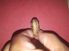 พระปิดตา สองหน้า หลวงพ่อแย้ม วัดด่านสำโรง จ.สมุทรปราการ เนื้อผงคลุกรัก ผิวแห้ง เหี่ยว ผิวพรรณเดิมๆ ที่สำคัญเป็นเนื้อออกกะลาสีน้ำตาล ซึ่งเนื้ รูปที่ 7