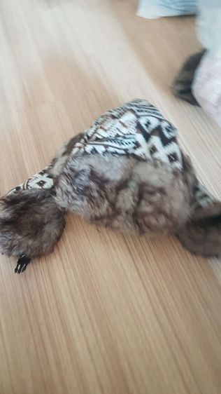 หมวกกันหนาว ปิดหู รูปที่ 2