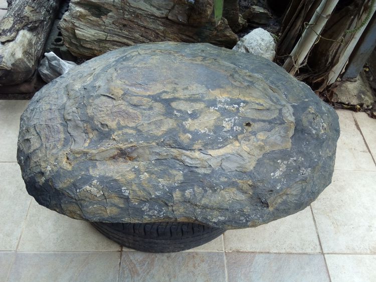 หินมงคล หินเต่า หินแปลก หิน รูปที่ 4