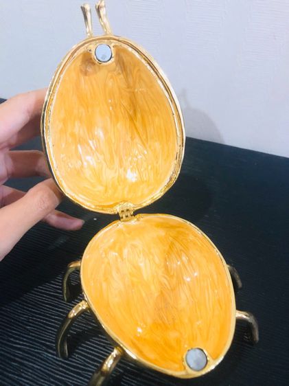 แมลงเต่าทองใส่เครื่องประดับ รูปที่ 6