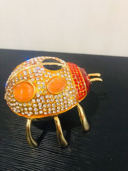 แมลงเต่าทองใส่เครื่องประดับ รูปที่ 3