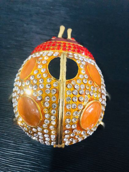 แมลงเต่าทองใส่เครื่องประดับ รูปที่ 2