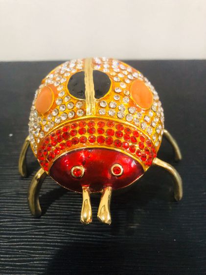 แมลงเต่าทองใส่เครื่องประดับ รูปที่ 4