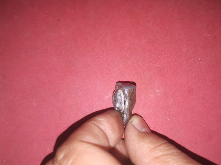 สังกัจจายน์ ดอนอะราง จารมือ หลังฝังพระพิฆเนศ ใต้ฐานจารชื่อ หลวงปู่หมุน ฐิตสีโล ปี 2525 พระสังกัจจายน์ครึ่งซีก ที่หลวงปู่หมุนท่านสร้างพร้อมกั รูปที่ 4