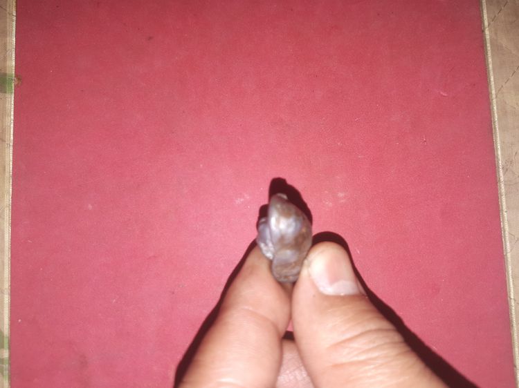 สังกัจจายน์ ดอนอะราง จารมือ หลังฝังพระพิฆเนศ ใต้ฐานจารชื่อ หลวงปู่หมุน ฐิตสีโล ปี 2525 พระสังกัจจายน์ครึ่งซีก ที่หลวงปู่หมุนท่านสร้างพร้อมกั รูปที่ 6