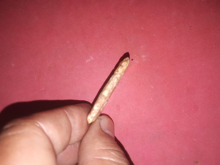 พระสมเด็จ พิมพ์ใหญ่ วัดระฆัง กทม. ปี 24xx เนื้อผงพุทธคุณ มวลสารครบ จัด ละเอียด หลังเรียบ รูปทรงสวย งดงาม ขอบไม่คม บาง แห้ง เหี่ยว ยุบย่น เนื รูปที่ 3