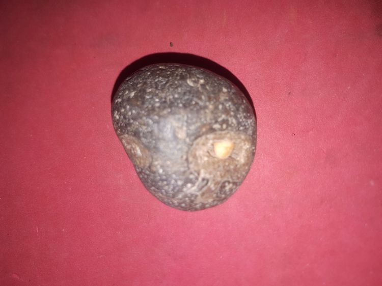 หินเสพหิน สีดำด้าน ก้อนหินรูปทรงกลม แปลก มีช่องตรงกลาง และมีหินก้อนเล็กติดอยู่ ขนาดสวย มีน้ำหนัก เกิดเองตามธรรมชาติ หินแท้ แปลก หายาก รูปที่ 2