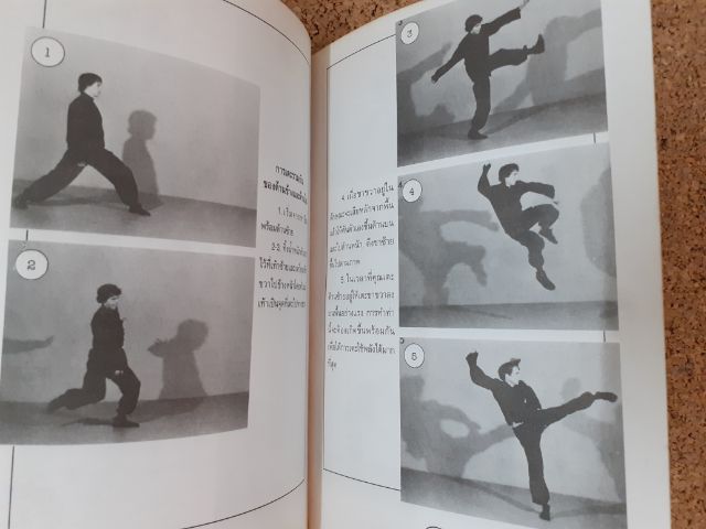 หนังสือชุดเสริมสุขภาพ คู่มือเรียนกังฟู รวบรวมโดย วีระศักดิ์ รูปที่ 11