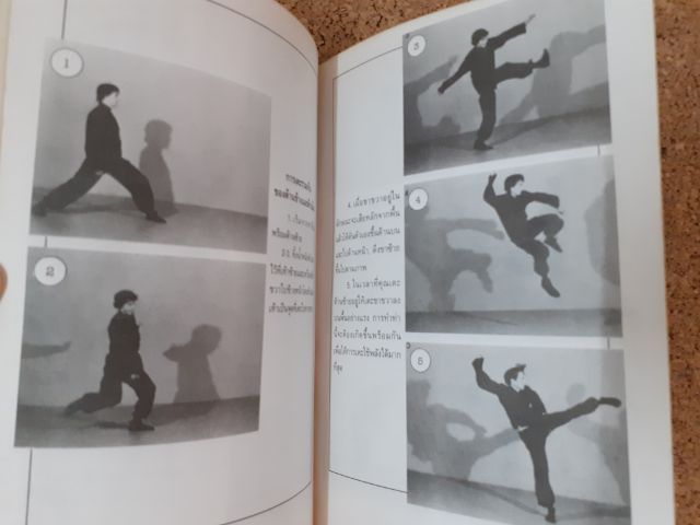 หนังสือชุดเสริมสุขภาพ คู่มือเรียนกังฟู รวบรวมโดย วีระศักดิ์ รูปที่ 10