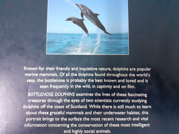 หนังสือ Bottlenose Dolphins by Paul Thompson and Ben Wilson (สารคดีโลมาภาษาอังกฤษ) รูปที่ 2
