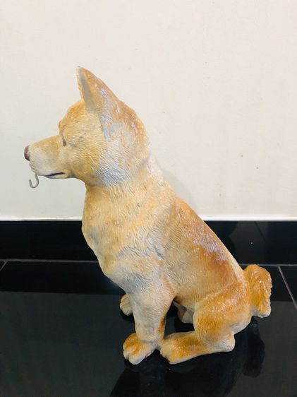 สุนัขชิบะ Shiba dog  รูปที่ 2