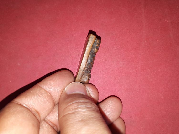 พระหลวงพ่อทวด หลังเตารีด ปี 2505 รุ่นพิมพ์ใหญ่ เนื้อโลหะผสม เนื้อเข้มออกสีแดงจัด เนื้อแกร่งแห้งสนิท สภาพสวย สมบูรณ์ เก่า พระองค์นี้พิมพ์แปลก รูปที่ 3