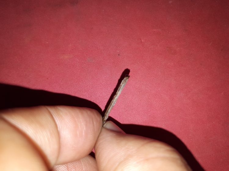 พระเหรียญหล่อ รุ่นล้างป่าช้า ปี 2485 หลวงพ่อไปล่ ฉันทสโร วัดกำแพง กรุงเทพฯ เนื้อโลหะผสม เนื้อพรุน เก่า แท้ หายาก องค์นี้ พระบาง ไม่ตัดขอบ รูปที่ 3