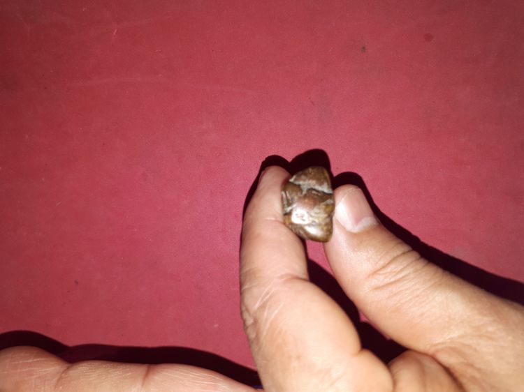 พระปิดตา ยันต์ยุ่ง มีกริ่ง ยุคเล่นแร่แปรธาตุ หลวงพ่อเดิม วัดหนองโพ เนื้อทองผสม ผิวขึ้นเป็นเกล็ดกระดี่ ฝังเหล็กไหลเป็นกริ่ง สวยงาม คมชัด สภาพ รูปที่ 9