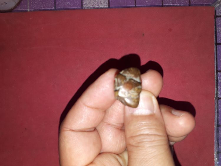 พระปิดตา ยันต์ยุ่ง มีกริ่ง ยุคเล่นแร่แปรธาตุ หลวงพ่อเดิม วัดหนองโพ เนื้อทองผสม ผิวขึ้นเป็นเกล็ดกระดี่ ฝังเหล็กไหลเป็นกริ่ง สวยงาม คมชัด สภาพ รูปที่ 5