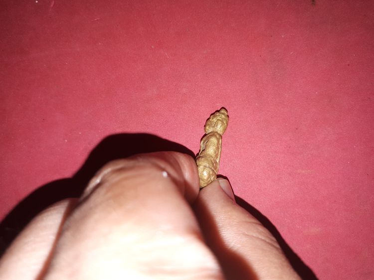 รูปหล่อ ลอยองค์ หลวงพ่อเพชร วัดท่าหลวง จ.พิจิตร ปี 2444 เนื้อทองผสม เนื้อหาเก่า รูปทรงสวยงาม สภาพสมบูรณ์ ดูง่าย เนื้อหาแบบนี้ หาค่อนข้างยาก รูปที่ 4