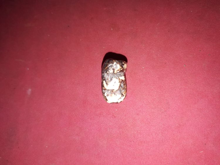 พระปิดตา หลวงปู่เอี่ยม วัดสะพานสูง เนื้อฟันกรามของหลวงปู่ ท่านเอามาแกะเป็นพระปิดตา ขนาดเล็ก ผิวมัน ออกสีขาวอมเหลือง เคลือบรักดำผสมกับรักแดง รูปที่ 7