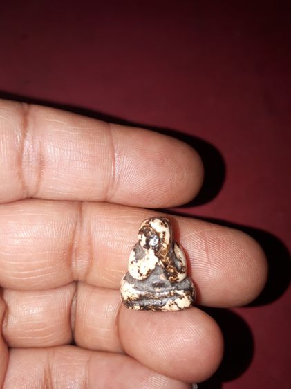 พระปิดตา หลวงปู่เอี่ยม วัดสะพานสูง เนื้อฟันกรามของหลวงปู่ ท่านเอามาแกะเป็นพระปิดตา ขนาดเล็ก ผิวมัน ออกสีขาวอมเหลือง เคลือบรักดำผสมกับรักแดง รูปที่ 9