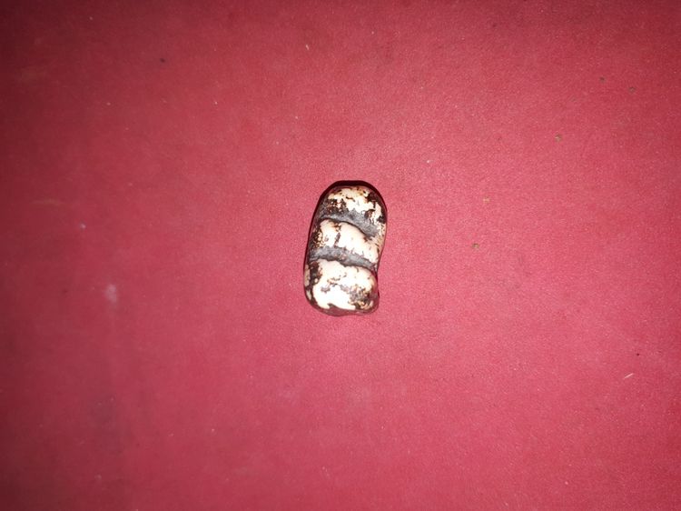 พระปิดตา หลวงปู่เอี่ยม วัดสะพานสูง เนื้อฟันกรามของหลวงปู่ ท่านเอามาแกะเป็นพระปิดตา ขนาดเล็ก ผิวมัน ออกสีขาวอมเหลือง เคลือบรักดำผสมกับรักแดง รูปที่ 8