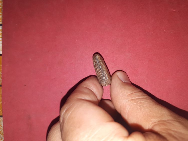 พระปิดตา หัวบานเย็น หลวงปู่เอี่ยม วัดหนัง กทม. เนื้อผง พระปิดตาที่เป็นพระเนื้อผง ท่านก็ได้สร้างไว้ แต่ก็มีจำนวนน้อย พระพิมพ์นี้ก็หาแท้ๆยาก ส รูปที่ 4