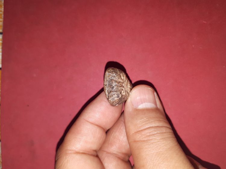 พระปิดตา หัวบานเย็น หลวงปู่เอี่ยม วัดหนัง กทม. เนื้อผง พระปิดตาที่เป็นพระเนื้อผง ท่านก็ได้สร้างไว้ แต่ก็มีจำนวนน้อย พระพิมพ์นี้ก็หาแท้ๆยาก ส รูปที่ 5