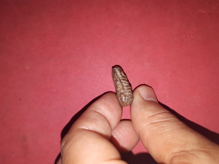 พระปิดตา หัวบานเย็น หลวงปู่เอี่ยม วัดหนัง กทม. เนื้อผง พระปิดตาที่เป็นพระเนื้อผง ท่านก็ได้สร้างไว้ แต่ก็มีจำนวนน้อย พระพิมพ์นี้ก็หาแท้ๆยาก ส รูปที่ 3