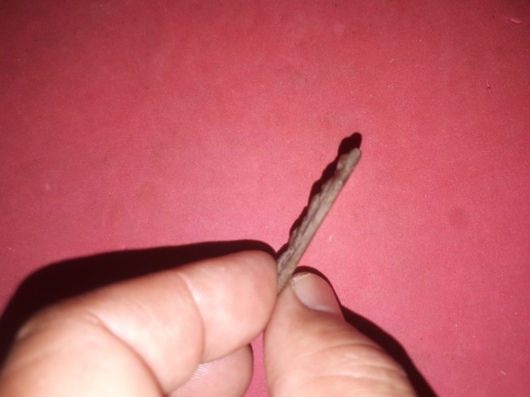 พระยอดขุนพล สะดุ้งกลับ หลวงปู่บุญ วัดกลางบางแก้ว จ.นครปฐม เนื้อผงผสมว่าน ด้านหลังเรียบ พระสภาพสวย พิมพ์ทรงคมชัดลึก พระบาง เนื้อมันเงา หดตัว รูปที่ 3