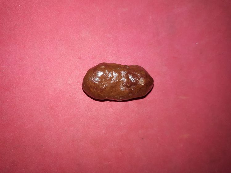 คตปลวก ขนาดกำลังสวย ประมาณ 1 นิ้ว ผิวเนียน มัน สีดำอมน้ำตาล รูปทรงค่อนข้างกลมยาว สวยงาม มีน้ำหนัก ของแท้ต้องมีความเป็นธรรมชาติ ผิวเรียบ ก็จะ รูปที่ 3