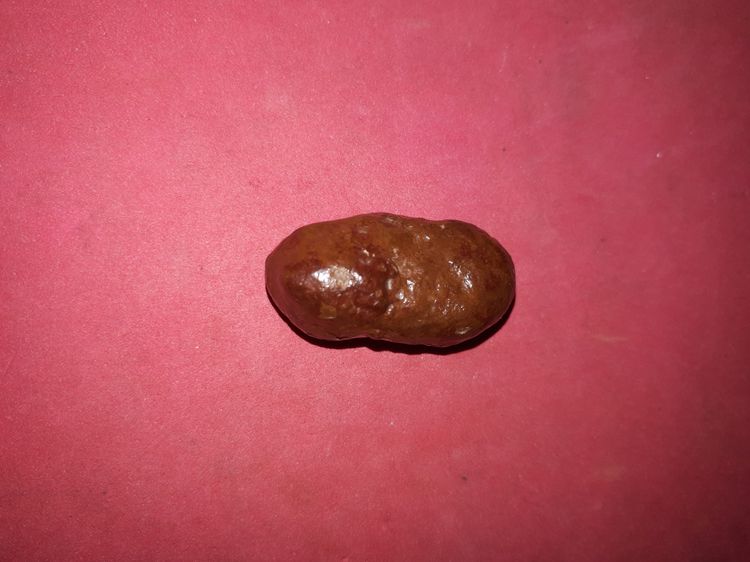 คตปลวก ขนาดกำลังสวย ประมาณ 1 นิ้ว ผิวเนียน มัน สีดำอมน้ำตาล รูปทรงค่อนข้างกลมยาว สวยงาม มีน้ำหนัก ของแท้ต้องมีความเป็นธรรมชาติ ผิวเรียบ ก็จะ รูปที่ 4