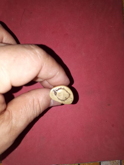 หล่อโบราณ หลวงพ่อเงิน วัดบางคลาน พิมพ์นิยม A ปี244x กว่า เนื้อทองผสม เนื้อเหยี่ยว ย่น พรุน พิมพ์คมชัด ตำหนืครบ เก่า เดิมๆ เป็นธรรมชาติ สภาพส รูปที่ 7