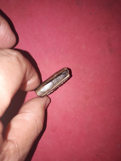 สมเด็จ หลังอูม เนื้อไม้ไผ่ดำ สีดำเหลือบเขียว เงา ฝีมือแกะสุด Classic มีลายวงไม้ ทำให้ดูง่าย สภาพสวย แปลก หายากมาก มีรูที่เจาะไว้สำหรับห้อย ไ รูปที่ 3