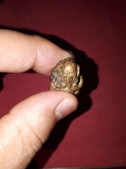 พระปิดตา ดอกจัน 4 ดอก สายใต้ เนื้อทองผสม ผิวพรุน แห้ง รูปทรงสวยงาม มีเอกลักษณ์ เก่า แท้ดูง่าย หายาก รูปที่ 6