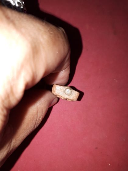 ลพ.ปาน วัดบางนมโค พิมพ์ขี่นก ผงเต็ม หลังเรียบ ตำหนิครบ เนื้อดิน จัด แห้ง นวลตา ไม่แข็งกระด้าง ผิวเดิมๆ เก่าตามธรรมชาติ เป็นพระเก่าเก็บ สภาพเ รูปที่ 5