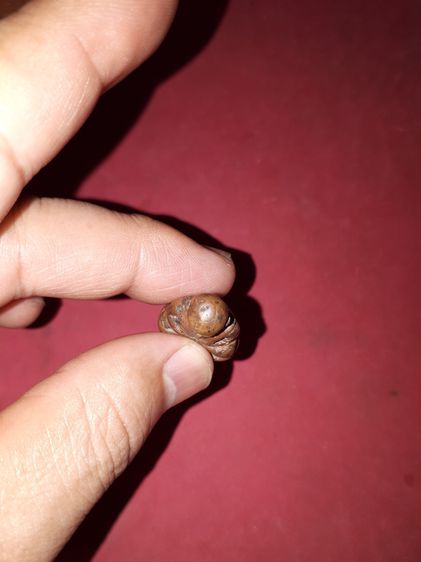 รูปเหมือน ลพ.เงิน วัดบางคลาน พิมพ์นิยม องค์เล็ก เนื้อทองผสม ผิวสองสี ออกสีแดงเข้ม ผิวแห้ง รอยตัดเดือยใหญ่ ฐานบาง ขนาดเล็ก รอยตะไบเกือบทั้งอง รูปที่ 6