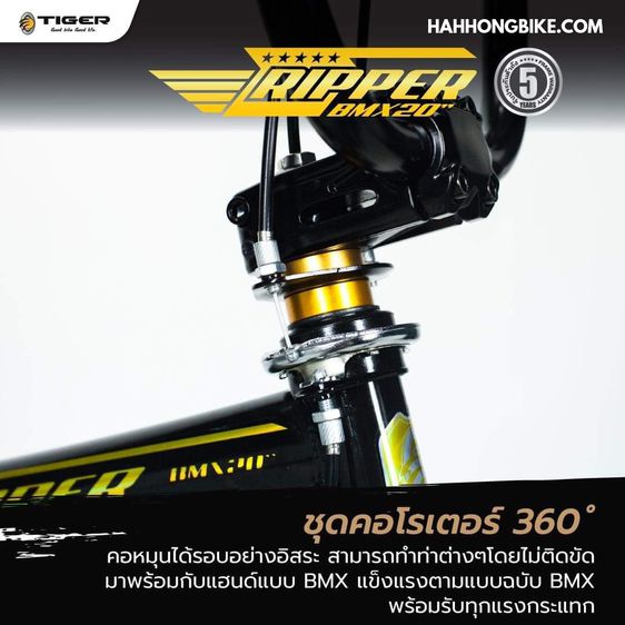 จักรยาน BMX ไทเกอร์ รุ่น Ripper รูปที่ 3