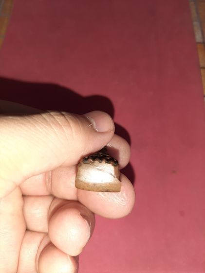 พระหลวงพ่อทวด หลังเตารีด ปี 2505 รุ่นพิมพ์กลาง ไม่ปั้มซ้ำ เนื้อโลหะผสม เนื้อเข้มจัด เนื้อแกร่งแห้งสนิท สภาพสวย สมบูรณ์ เก่า พระองค์นี้ แท้ ด รูปที่ 6