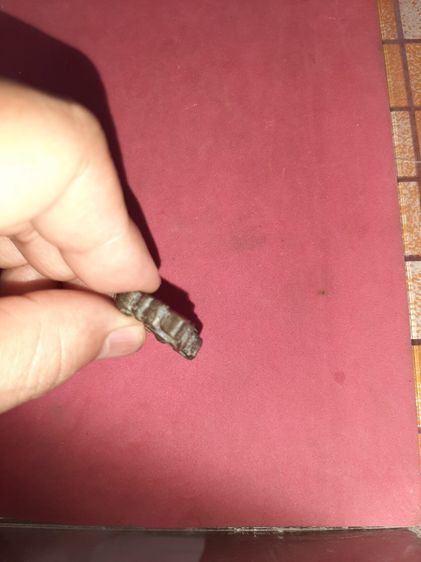 เหรียญหล่อ ใบเสมาหูขวาง 2 หน้า อย่างสวย เนื้อโลหะ ผิวมันแห้ง เดิมๆ เป็นธรรมชาติ ความเก่าเดิมสวยๆ พระองค์นี้ พิมพ์ทรงคมชัด ดูง่าย สภาพสวย สมบ รูปที่ 5