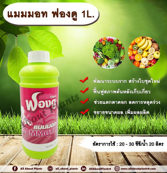 My Image 9