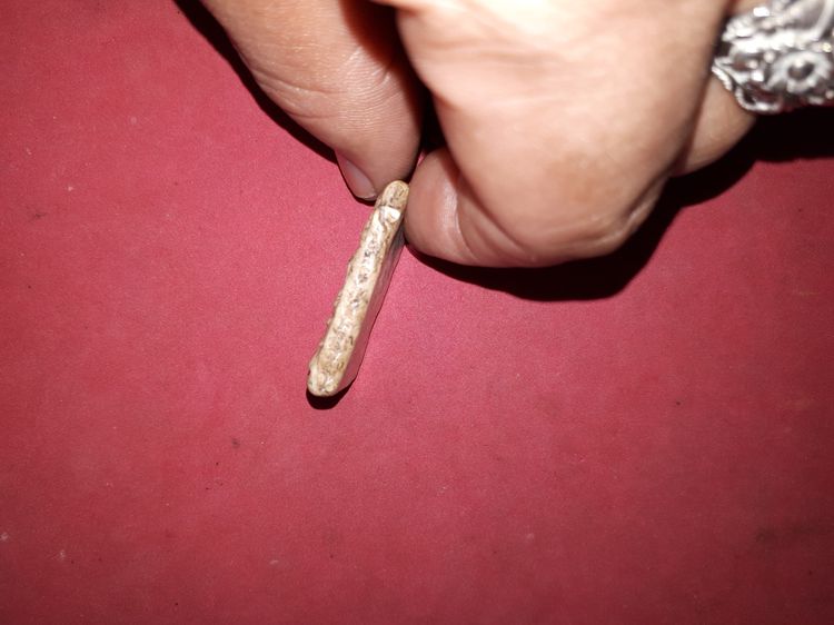 สมเด็จ วัดระฆัง หูยานฐานแซม พิมพ์โบราณ รุ่นแรกๆ บล็อคไม้ เนื้อผงแก่ปูน เป็นมัน เงา ขรุขระเหมือนผิวโลกพระจันทร์ มวลสารครบ จัด ละเอียด ขนาดเล็ รูปที่ 4